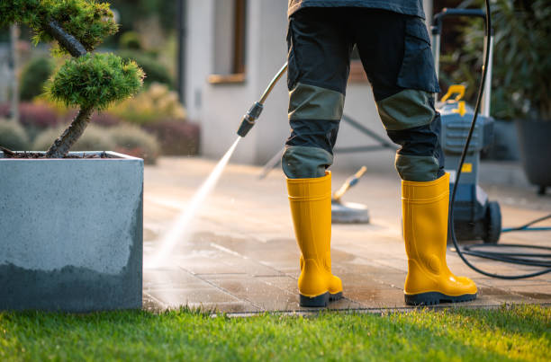 Best Power Washing Near Me  in Viola, NY